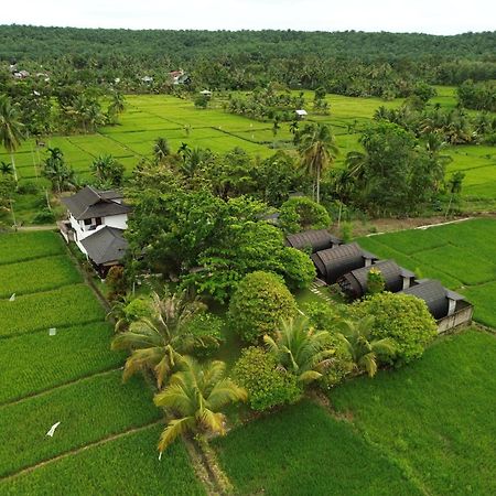 Gino'S Place - Guest House & Jungle Trekking Bukit Lawang Ngoại thất bức ảnh