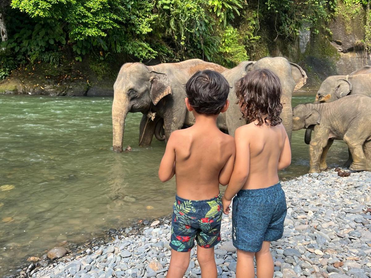 Gino'S Place - Guest House & Jungle Trekking Bukit Lawang Ngoại thất bức ảnh