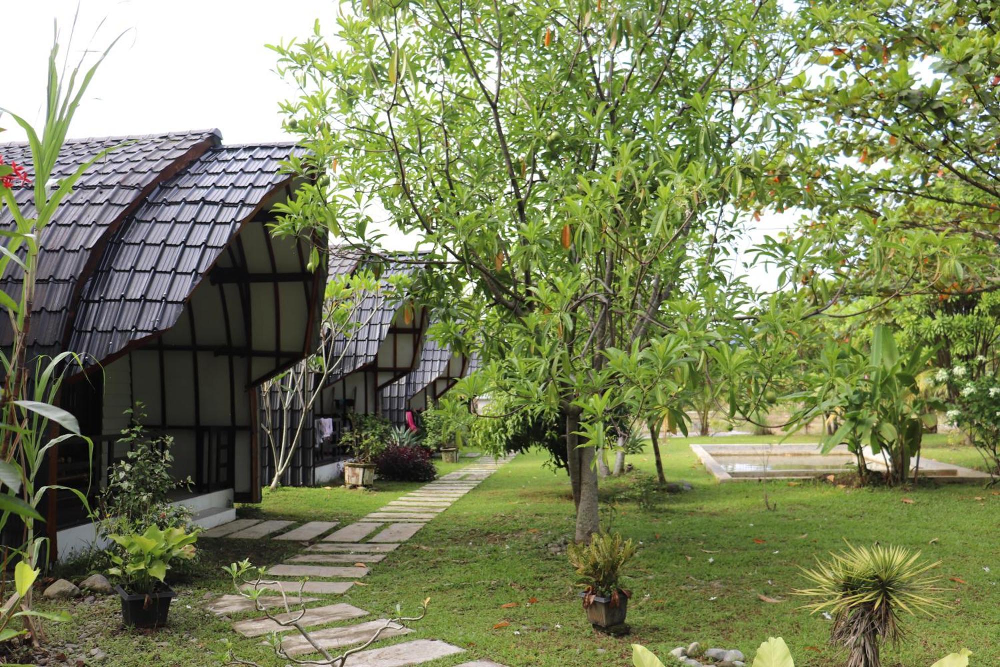 Gino'S Place - Guest House & Jungle Trekking Bukit Lawang Ngoại thất bức ảnh