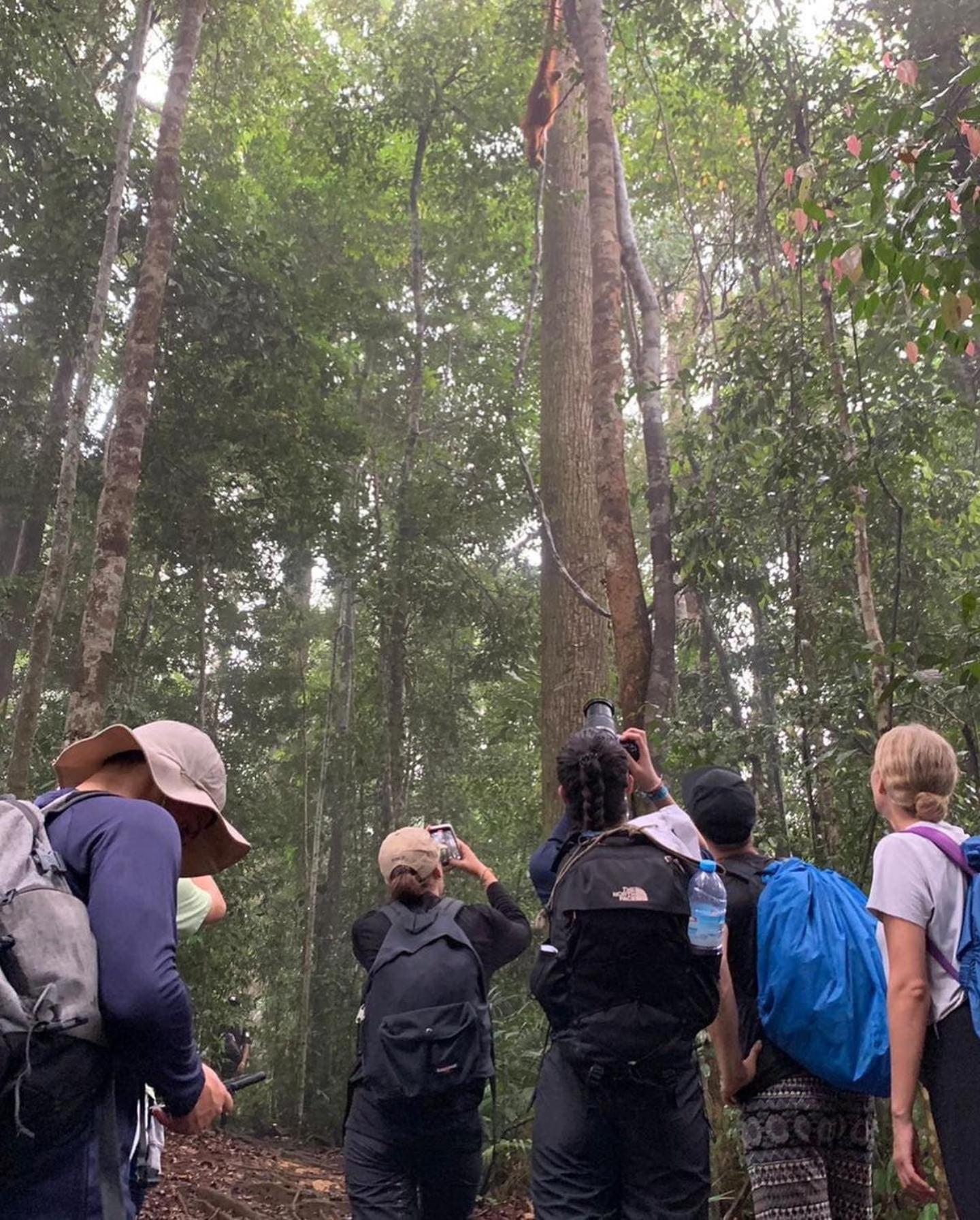 Gino'S Place - Guest House & Jungle Trekking Bukit Lawang Ngoại thất bức ảnh