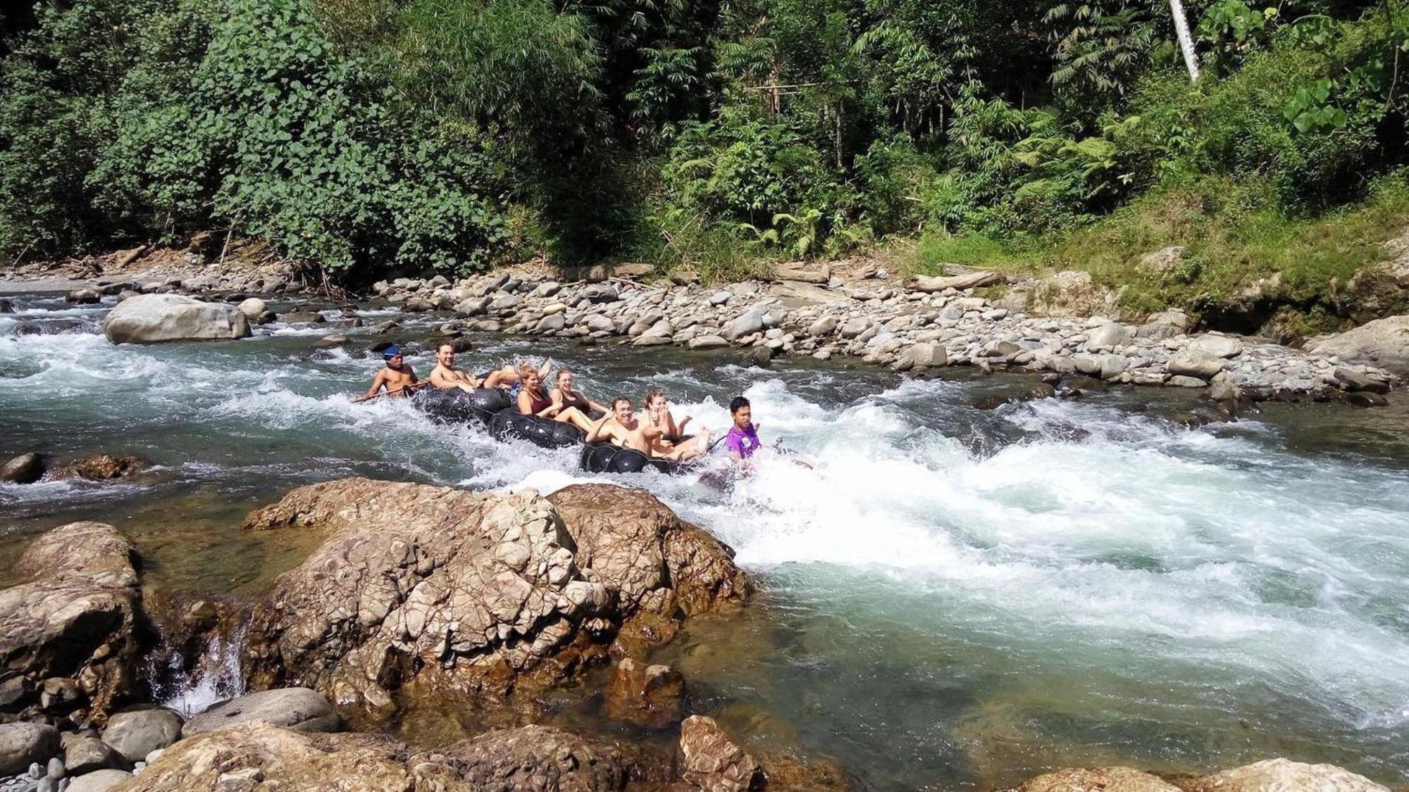 Gino'S Place - Guest House & Jungle Trekking Bukit Lawang Ngoại thất bức ảnh