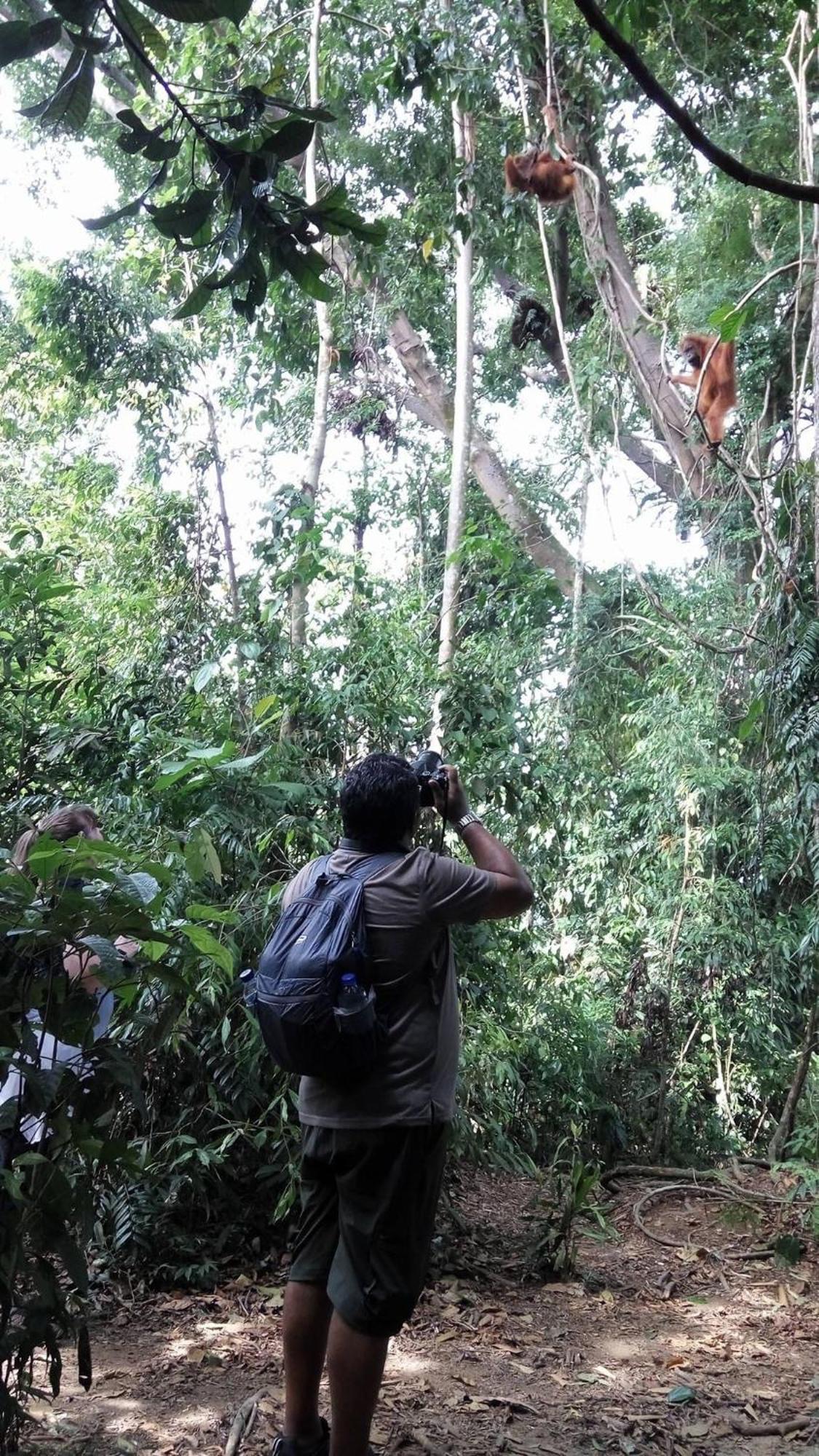Gino'S Place - Guest House & Jungle Trekking Bukit Lawang Ngoại thất bức ảnh