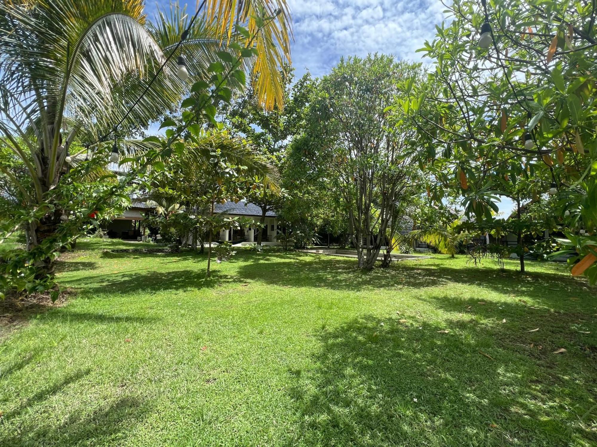 Gino'S Place - Guest House & Jungle Trekking Bukit Lawang Ngoại thất bức ảnh