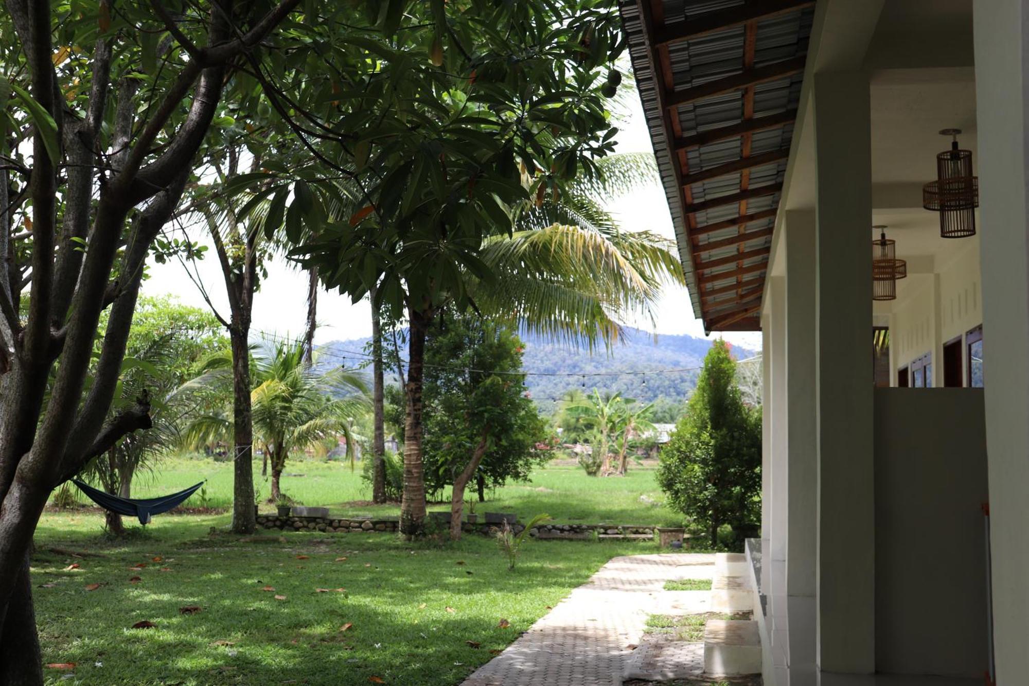 Gino'S Place - Guest House & Jungle Trekking Bukit Lawang Ngoại thất bức ảnh