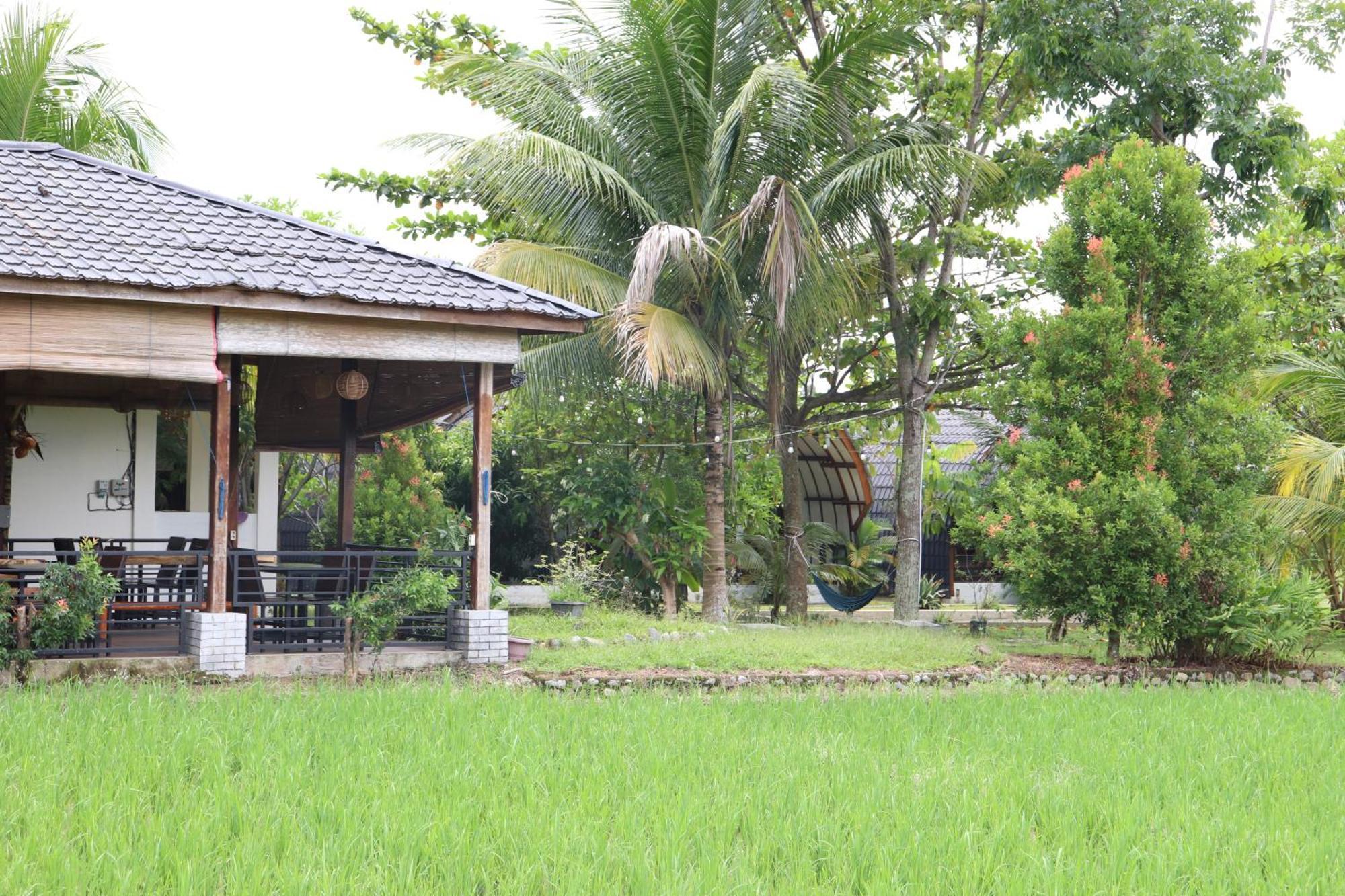 Gino'S Place - Guest House & Jungle Trekking Bukit Lawang Ngoại thất bức ảnh