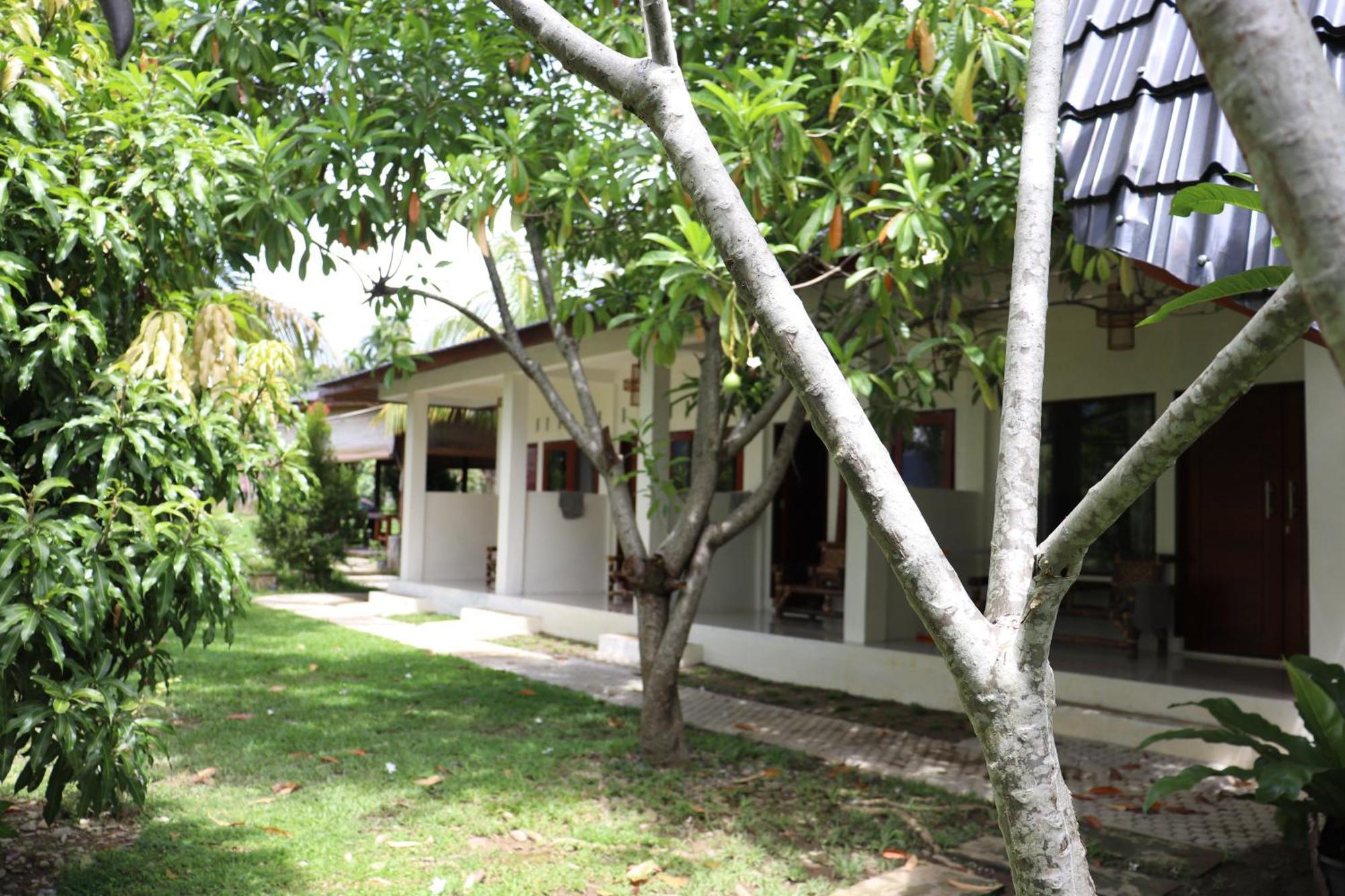 Gino'S Place - Guest House & Jungle Trekking Bukit Lawang Ngoại thất bức ảnh