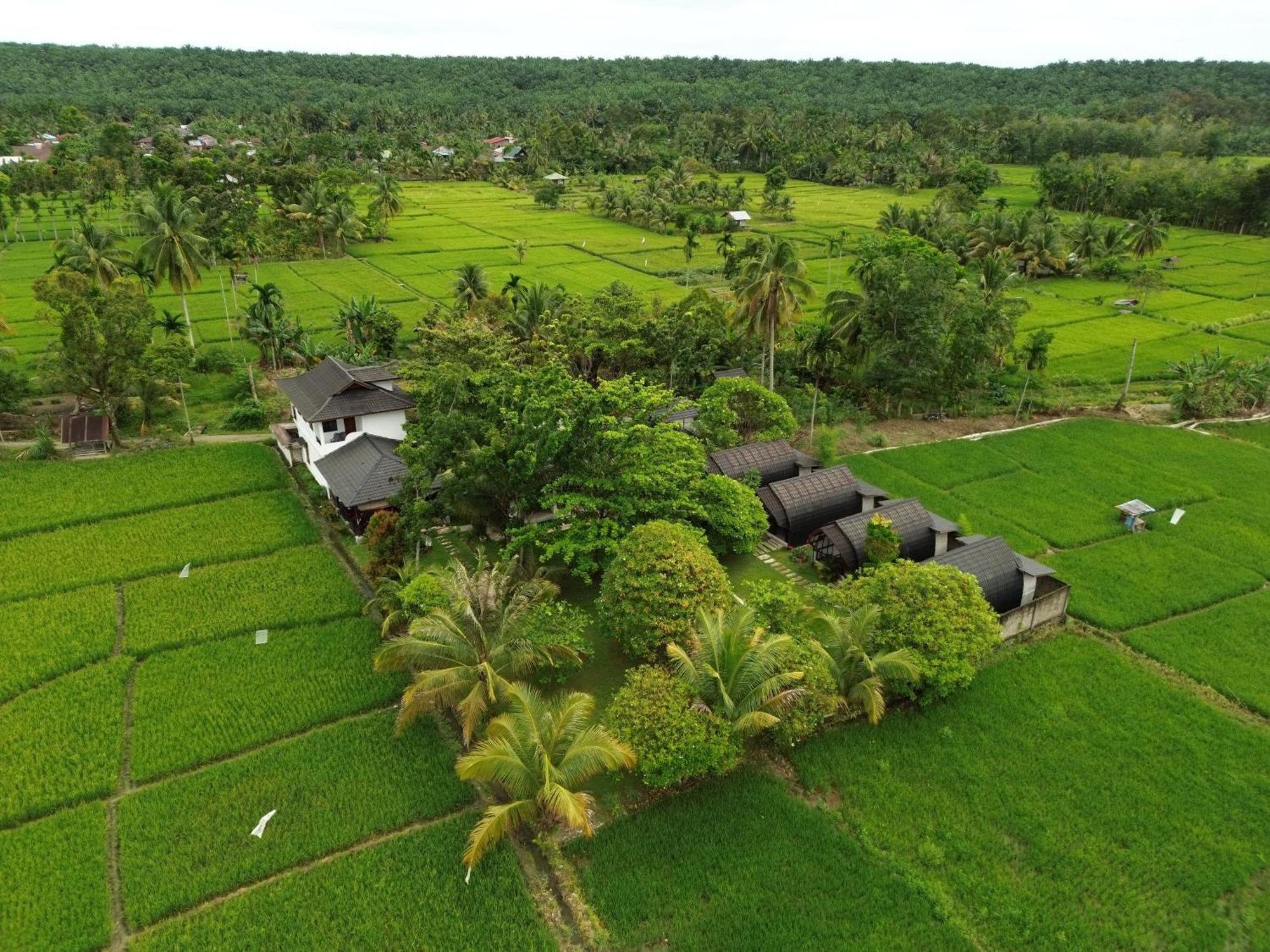 Gino'S Place - Guest House & Jungle Trekking Bukit Lawang Ngoại thất bức ảnh