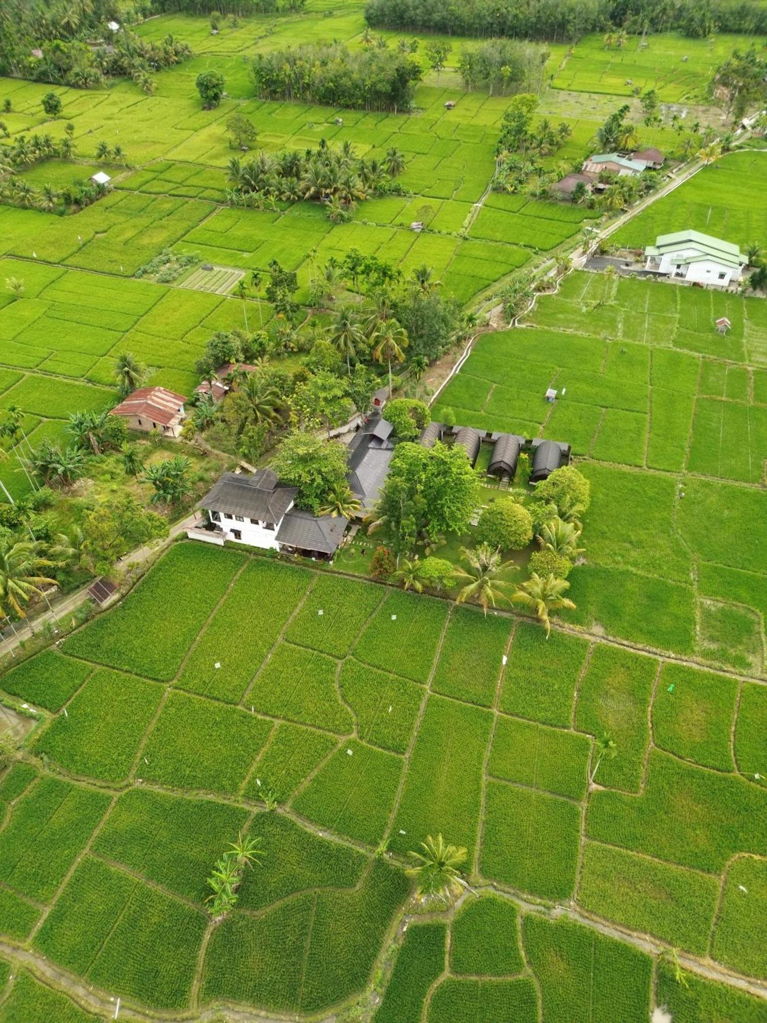 Gino'S Place - Guest House & Jungle Trekking Bukit Lawang Ngoại thất bức ảnh