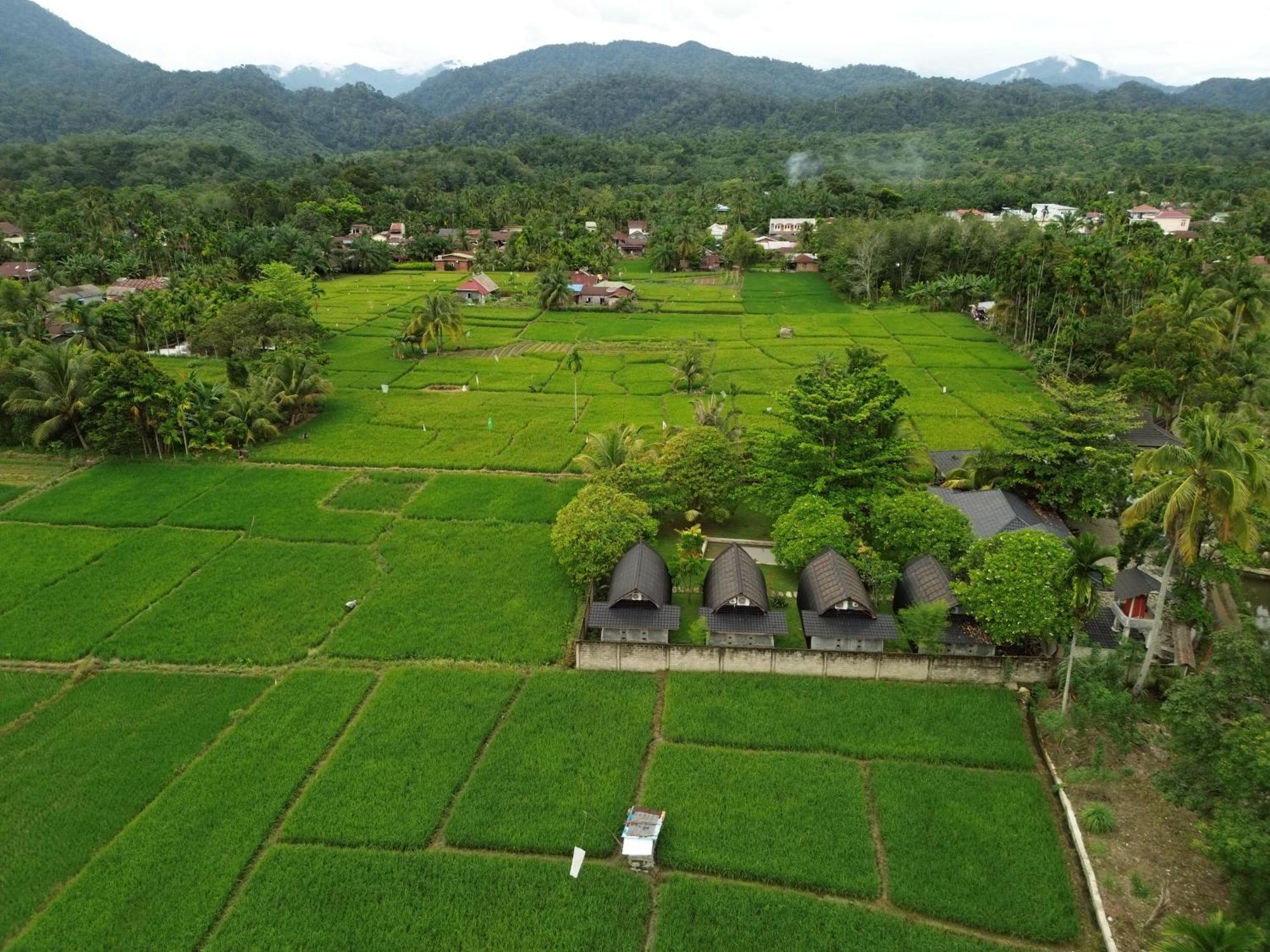 Gino'S Place - Guest House & Jungle Trekking Bukit Lawang Ngoại thất bức ảnh